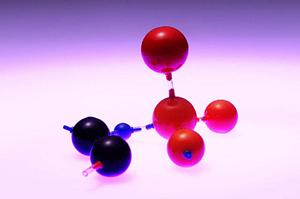 【最新事例公開】TikTokを活用した採用成功事例と効果的な戦略の全て